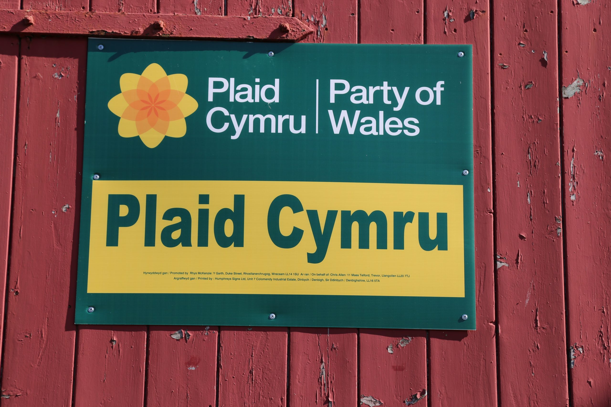Logo Plaid Cymru, Plaid Cymru logo