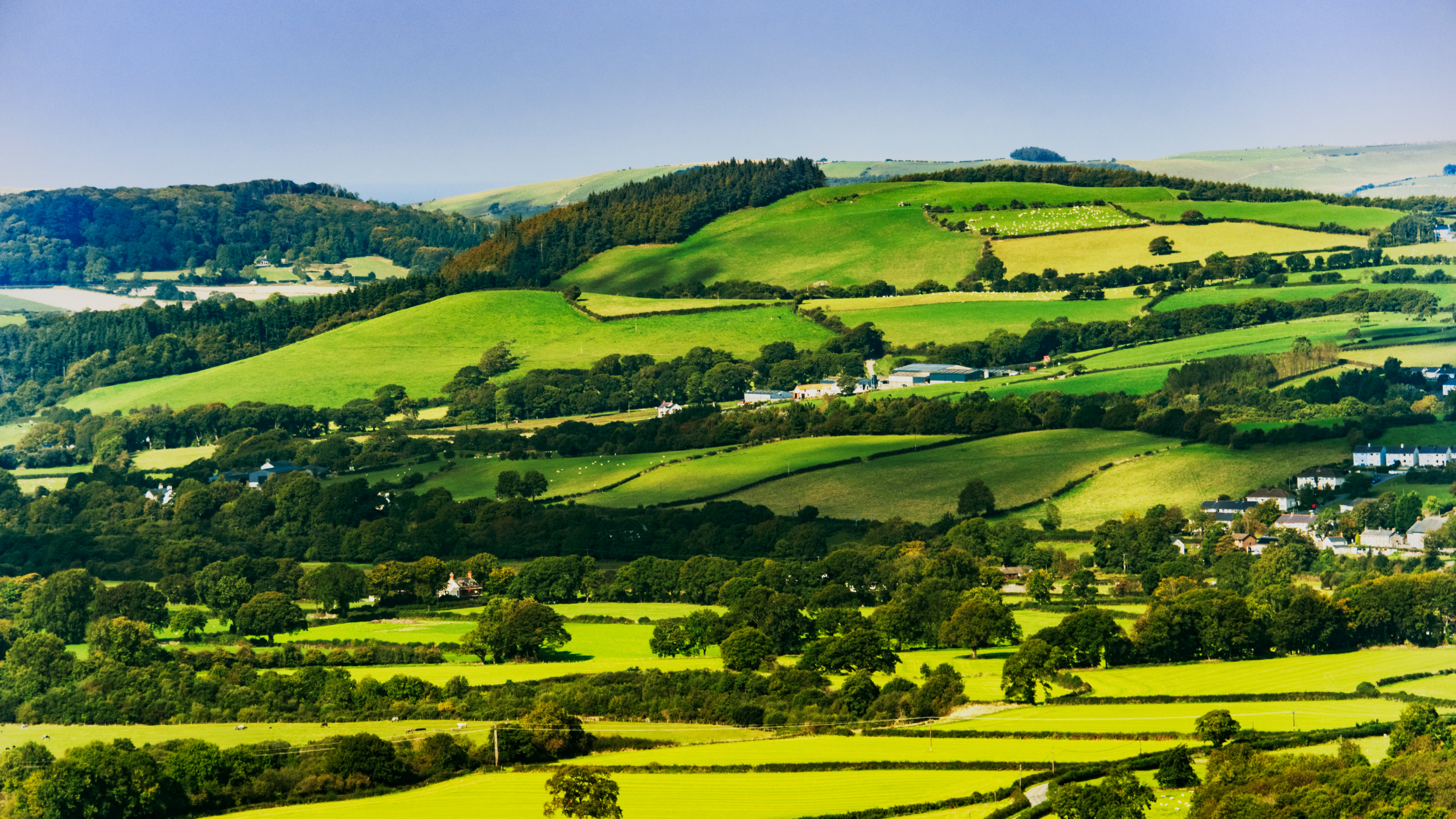 A hill that has many fields lined with trees, with sheep and houses scattered amongst the countryside.