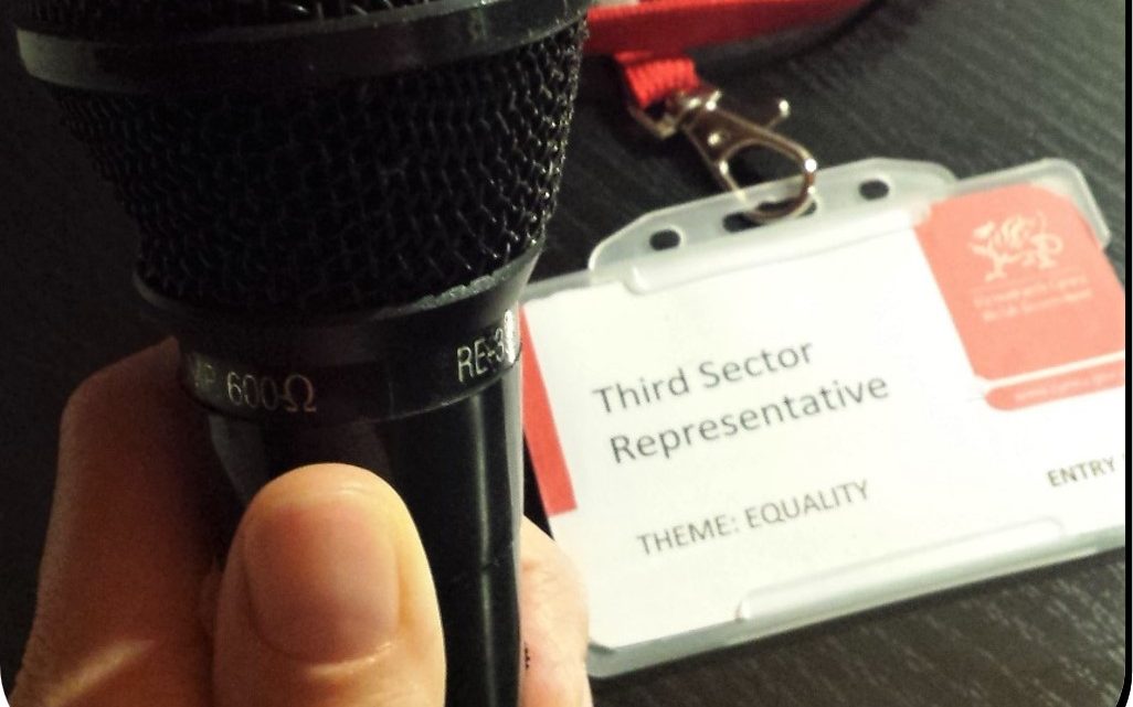 A hand is holding a microphone and there is a lanyard in the background, on the lanyard it says Third Sector Representative for Equality Theme.